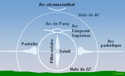 nom et disposition des différents halos