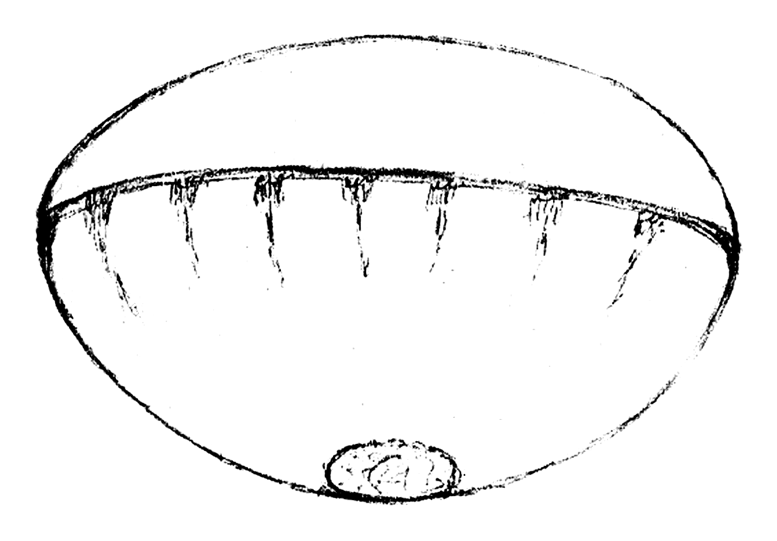 Dessin d'une sorte de sphère aplatie avec une bordure, des plis sous la bordure, et un cercle noir en bas